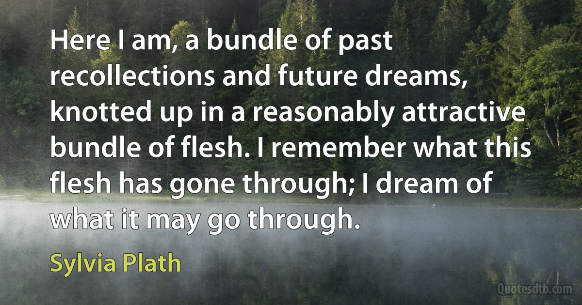 Here I am, a bundle of past recollections and future dreams, knotted up in a reasonably attractive bundle of flesh. I remember what this flesh has gone through; I dream of what it may go through. (Sylvia Plath)