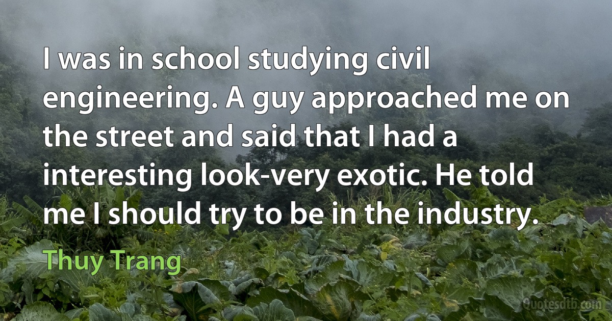 I was in school studying civil engineering. A guy approached me on the street and said that I had a interesting look-very exotic. He told me I should try to be in the industry. (Thuy Trang)