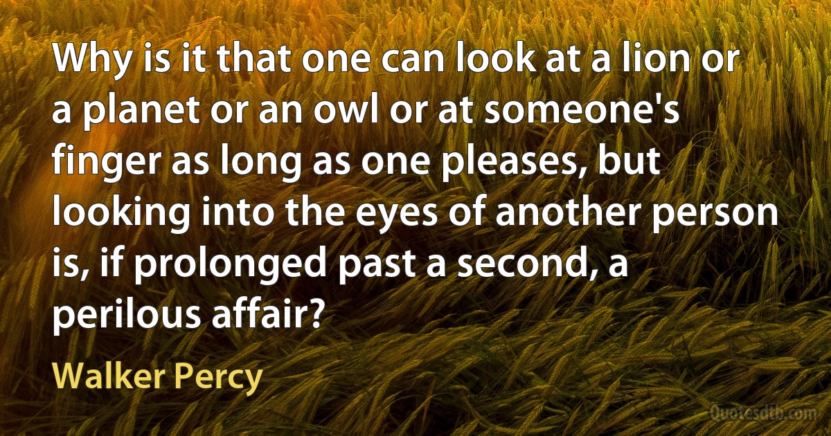 Why is it that one can look at a lion or a planet or an owl or at someone's finger as long as one pleases, but looking into the eyes of another person is, if prolonged past a second, a perilous affair? (Walker Percy)