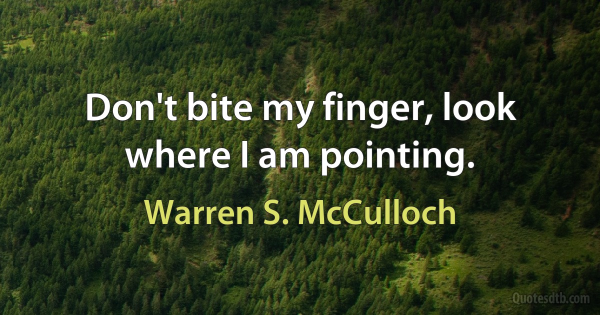 Don't bite my finger, look where I am pointing. (Warren S. McCulloch)