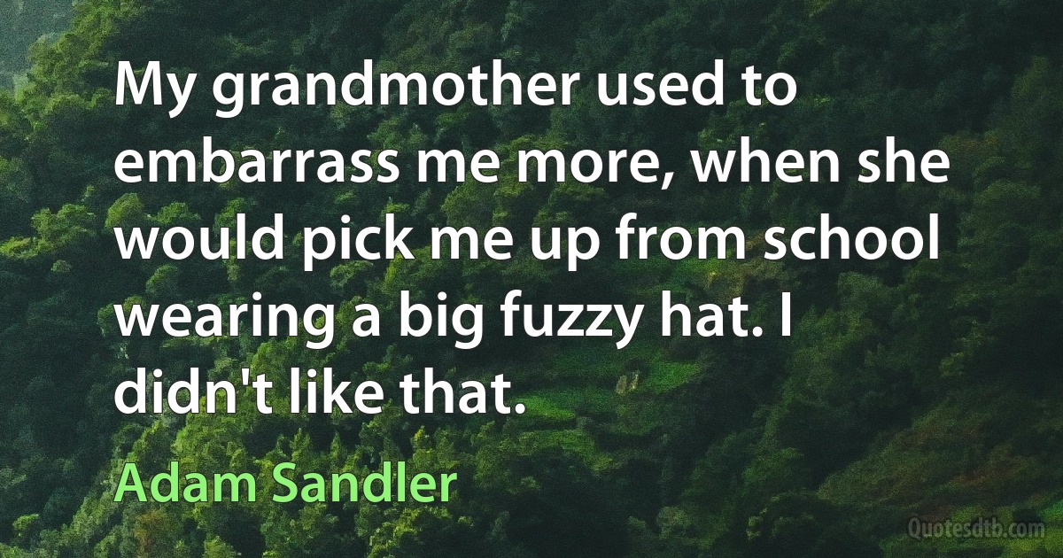 My grandmother used to embarrass me more, when she would pick me up from school wearing a big fuzzy hat. I didn't like that. (Adam Sandler)