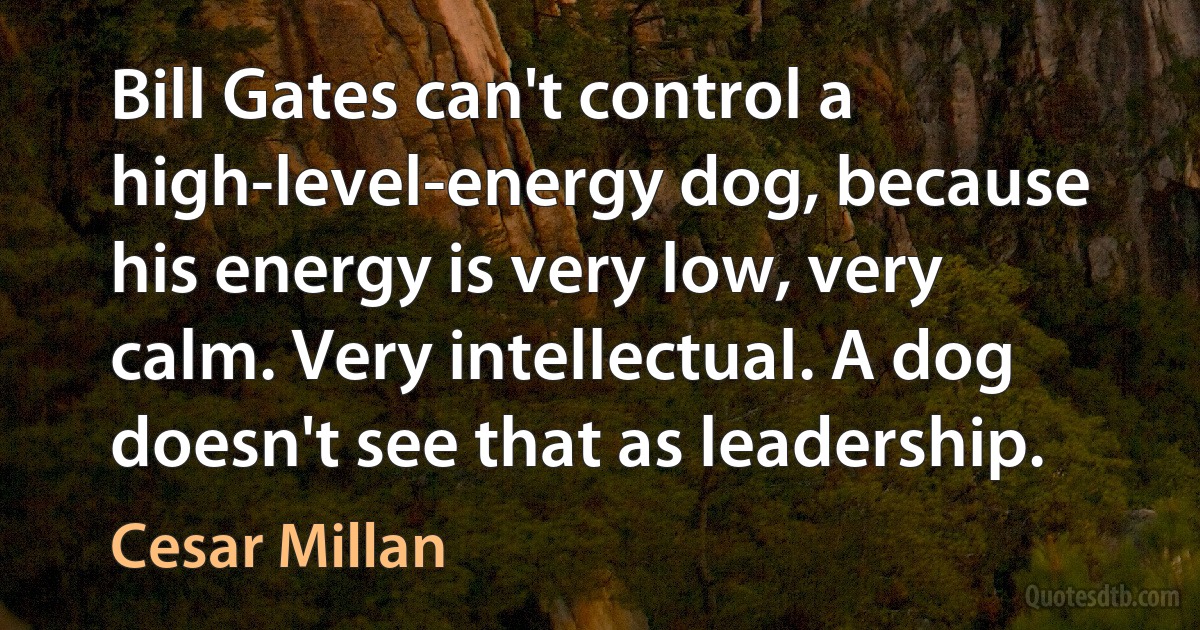 Bill Gates can't control a high-level-energy dog, because his energy is very low, very calm. Very intellectual. A dog doesn't see that as leadership. (Cesar Millan)