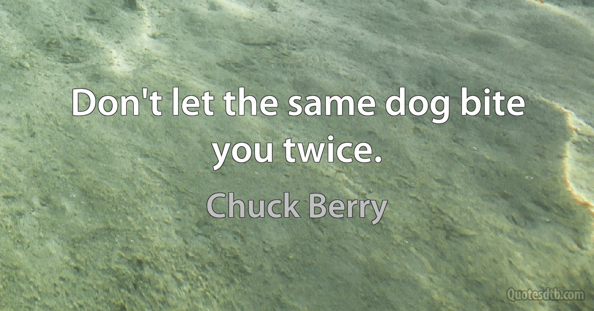 Don't let the same dog bite you twice. (Chuck Berry)