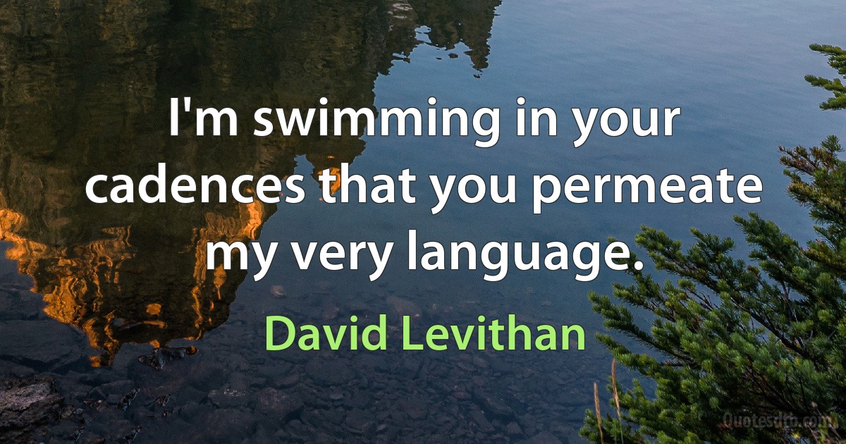 I'm swimming in your cadences that you permeate my very language. (David Levithan)