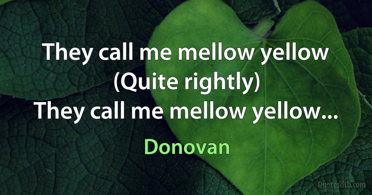 They call me mellow yellow
(Quite rightly)
They call me mellow yellow... (Donovan)