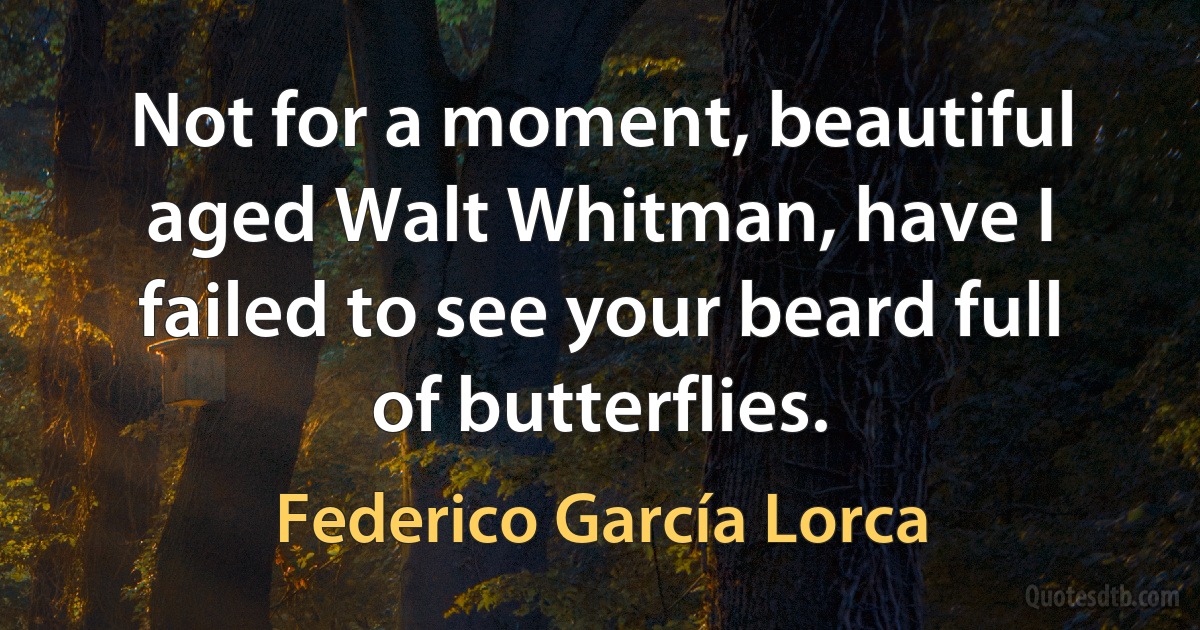 Not for a moment, beautiful aged Walt Whitman, have I failed to see your beard full of butterflies. (Federico García Lorca)