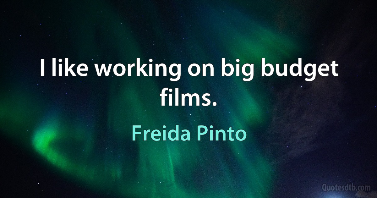 I like working on big budget films. (Freida Pinto)