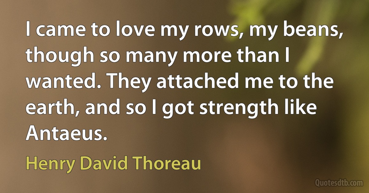 I came to love my rows, my beans, though so many more than I wanted. They attached me to the earth, and so I got strength like Antaeus. (Henry David Thoreau)