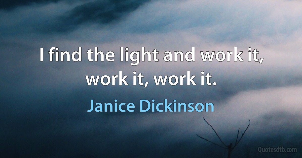 I find the light and work it, work it, work it. (Janice Dickinson)