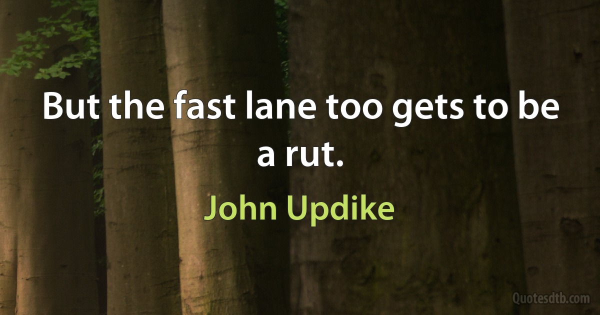 But the fast lane too gets to be a rut. (John Updike)