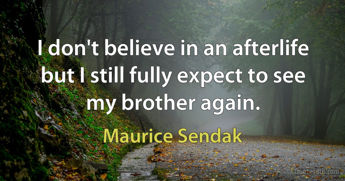 I don't believe in an afterlife but I still fully expect to see my brother again. (Maurice Sendak)