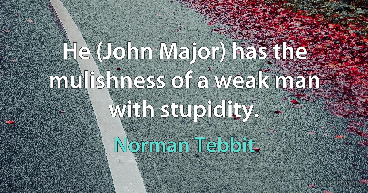 He (John Major) has the mulishness of a weak man with stupidity. (Norman Tebbit)