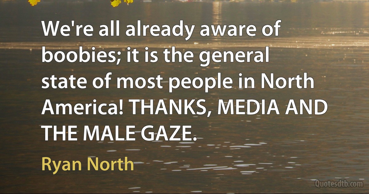 We're all already aware of boobies; it is the general state of most people in North America! THANKS, MEDIA AND THE MALE GAZE. (Ryan North)