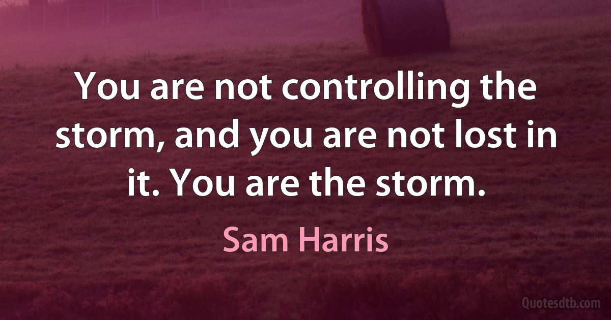 You are not controlling the storm, and you are not lost in it. You are the storm. (Sam Harris)