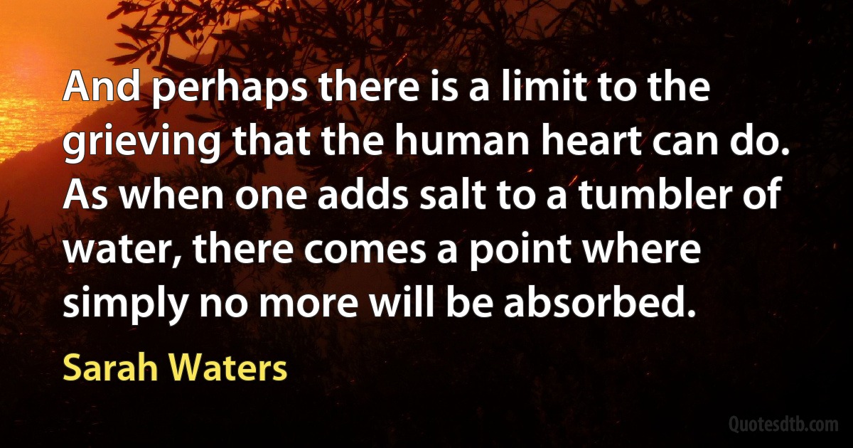 And perhaps there is a limit to the grieving that the human heart can do. As when one adds salt to a tumbler of water, there comes a point where simply no more will be absorbed. (Sarah Waters)