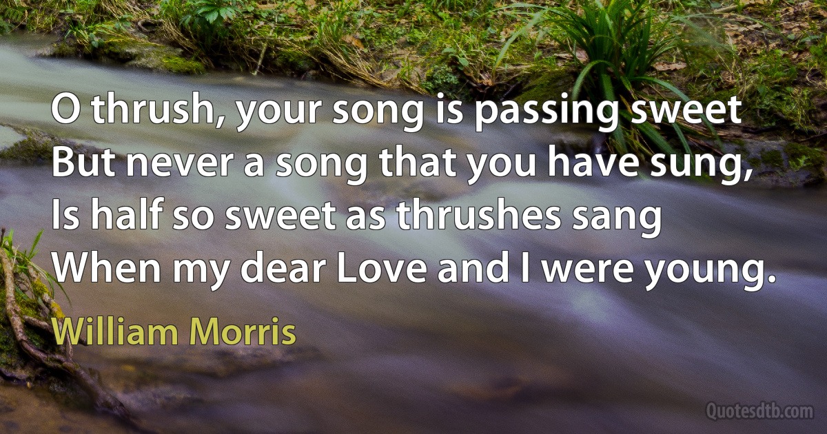 O thrush, your song is passing sweet
But never a song that you have sung,
Is half so sweet as thrushes sang
When my dear Love and I were young. (William Morris)