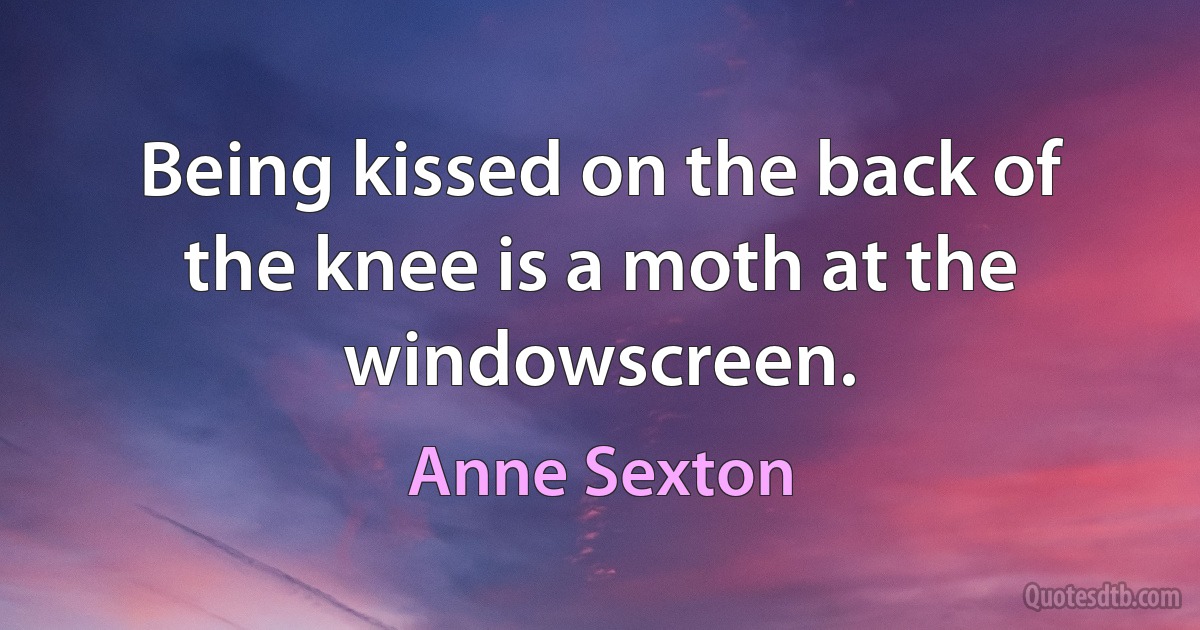 Being kissed on the back of the knee is a moth at the windowscreen. (Anne Sexton)