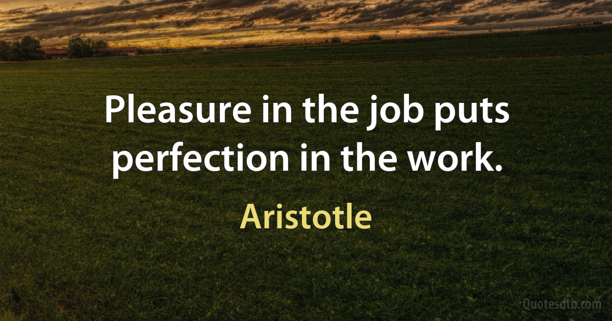 Pleasure in the job puts perfection in the work. (Aristotle)