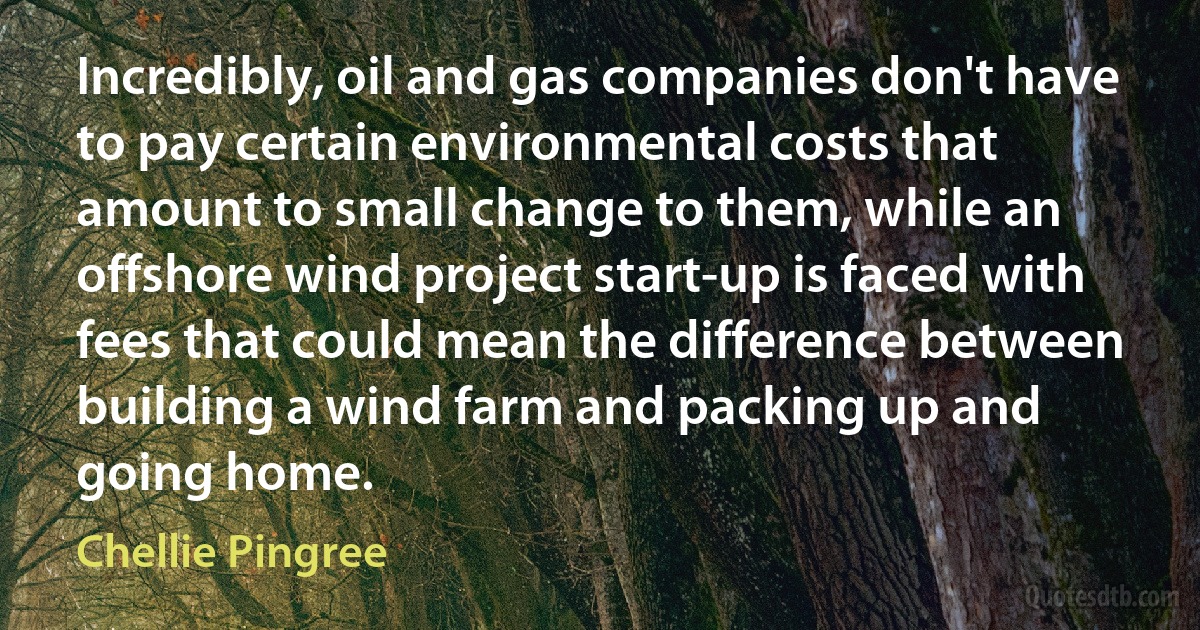 Incredibly, oil and gas companies don't have to pay certain environmental costs that amount to small change to them, while an offshore wind project start-up is faced with fees that could mean the difference between building a wind farm and packing up and going home. (Chellie Pingree)