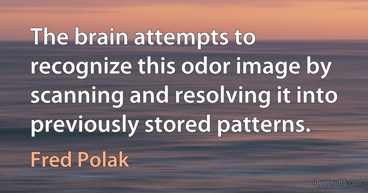 The brain attempts to recognize this odor image by scanning and resolving it into previously stored patterns. (Fred Polak)