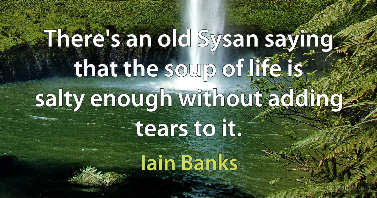 There's an old Sysan saying that the soup of life is salty enough without adding tears to it. (Iain Banks)