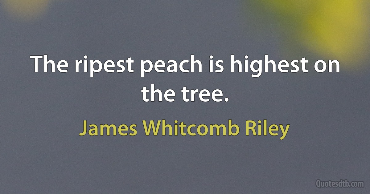 The ripest peach is highest on the tree. (James Whitcomb Riley)