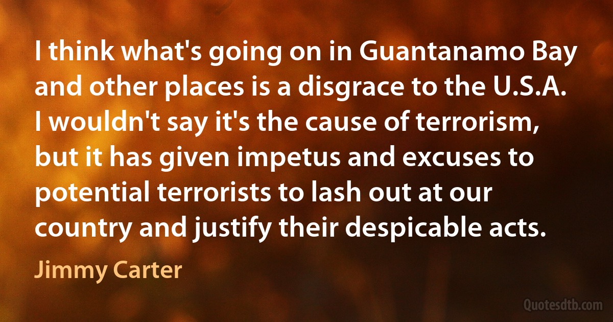 I think what's going on in Guantanamo Bay and other places is a disgrace to the U.S.A. I wouldn't say it's the cause of terrorism, but it has given impetus and excuses to potential terrorists to lash out at our country and justify their despicable acts. (Jimmy Carter)