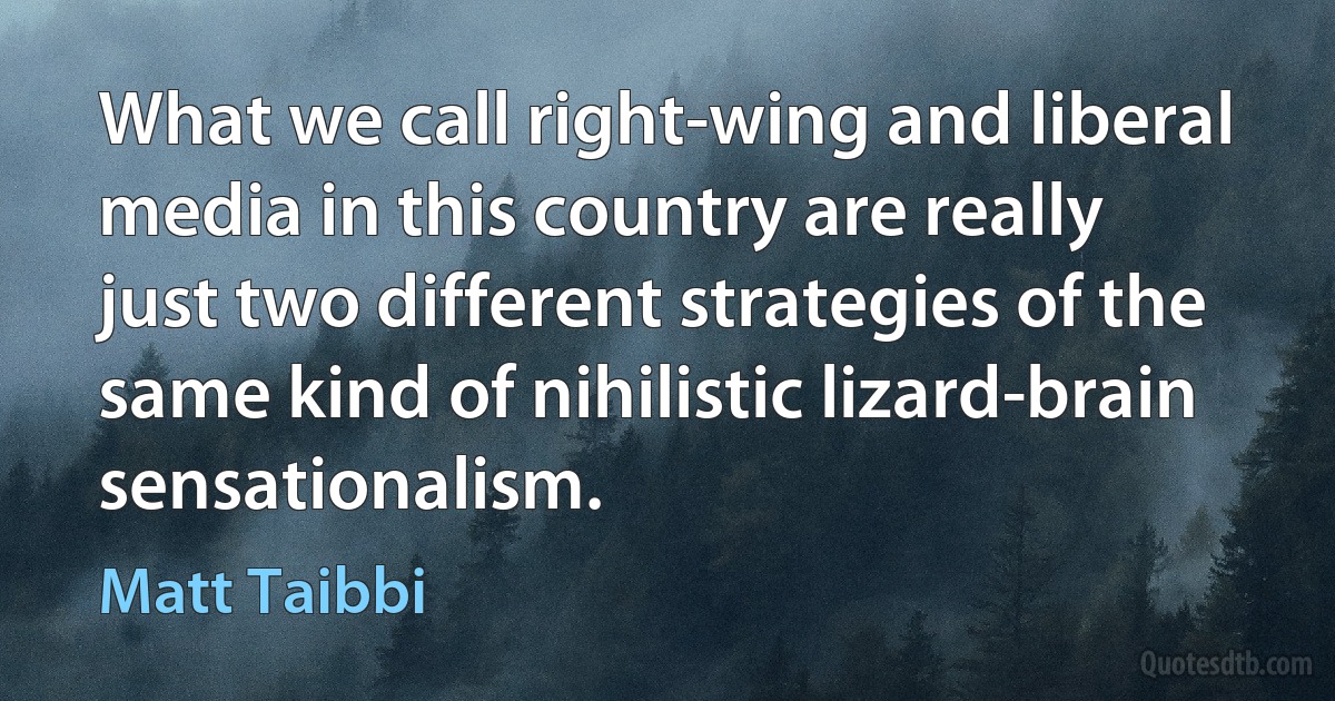 What we call right-wing and liberal media in this country are really just two different strategies of the same kind of nihilistic lizard-brain sensationalism. (Matt Taibbi)