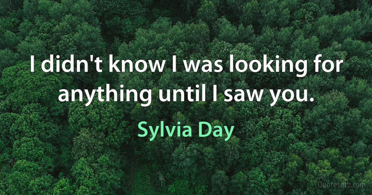 I didn't know I was looking for anything until I saw you. (Sylvia Day)