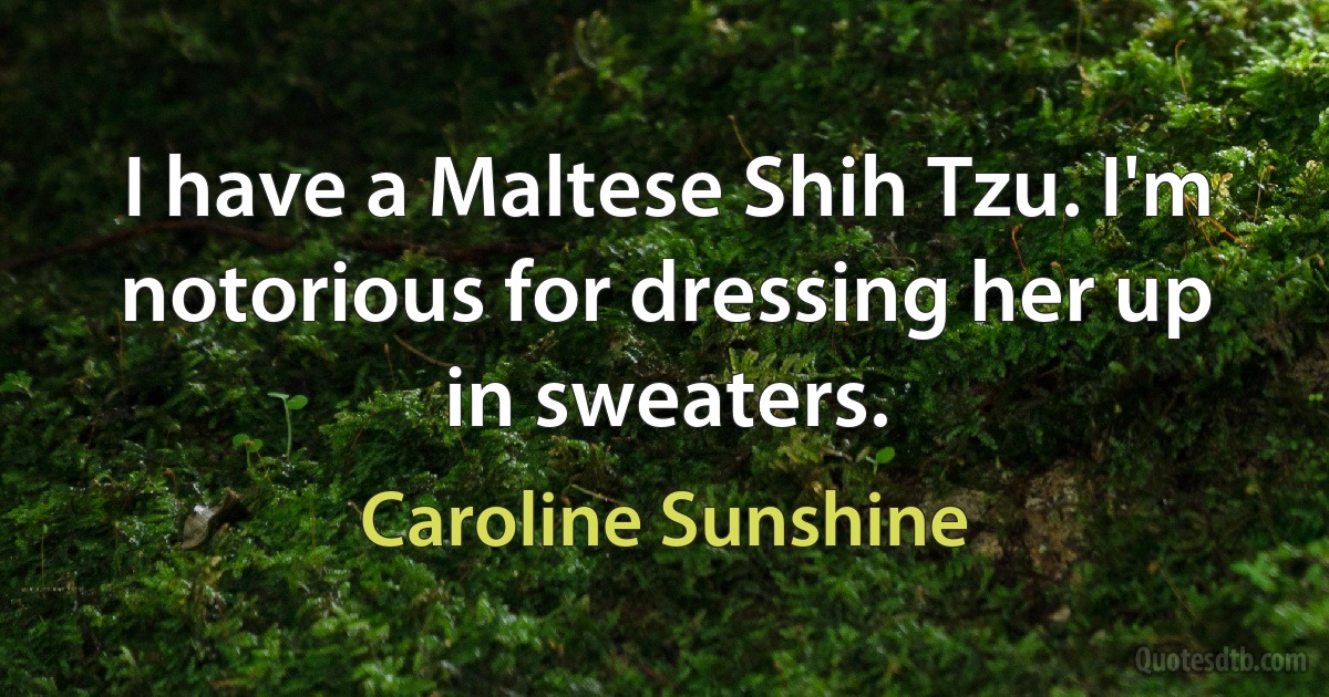 I have a Maltese Shih Tzu. I'm notorious for dressing her up in sweaters. (Caroline Sunshine)