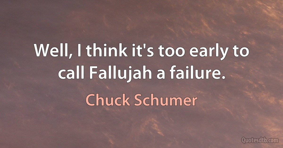 Well, I think it's too early to call Fallujah a failure. (Chuck Schumer)