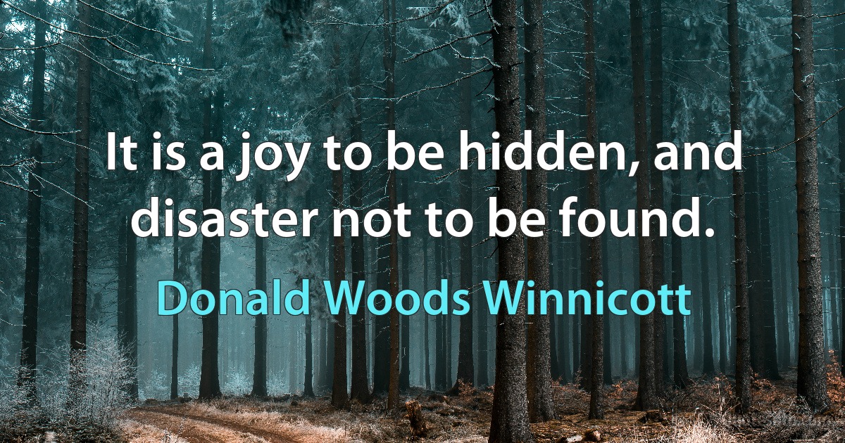 It is a joy to be hidden, and disaster not to be found. (Donald Woods Winnicott)