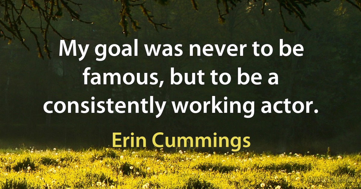 My goal was never to be famous, but to be a consistently working actor. (Erin Cummings)