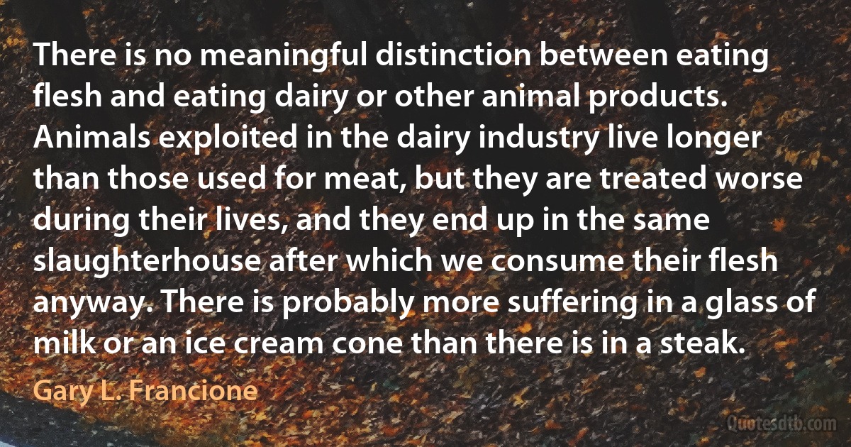 There is no meaningful distinction between eating flesh and eating dairy or other animal products. Animals exploited in the dairy industry live longer than those used for meat, but they are treated worse during their lives, and they end up in the same slaughterhouse after which we consume their flesh anyway. There is probably more suffering in a glass of milk or an ice cream cone than there is in a steak. (Gary L. Francione)