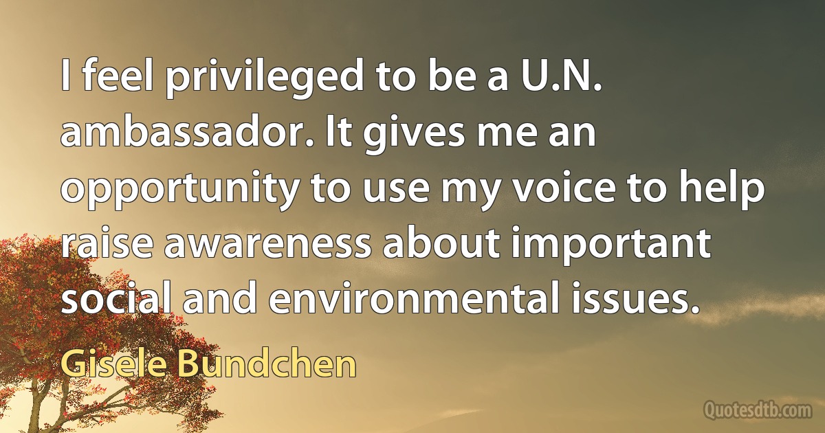 I feel privileged to be a U.N. ambassador. It gives me an opportunity to use my voice to help raise awareness about important social and environmental issues. (Gisele Bundchen)