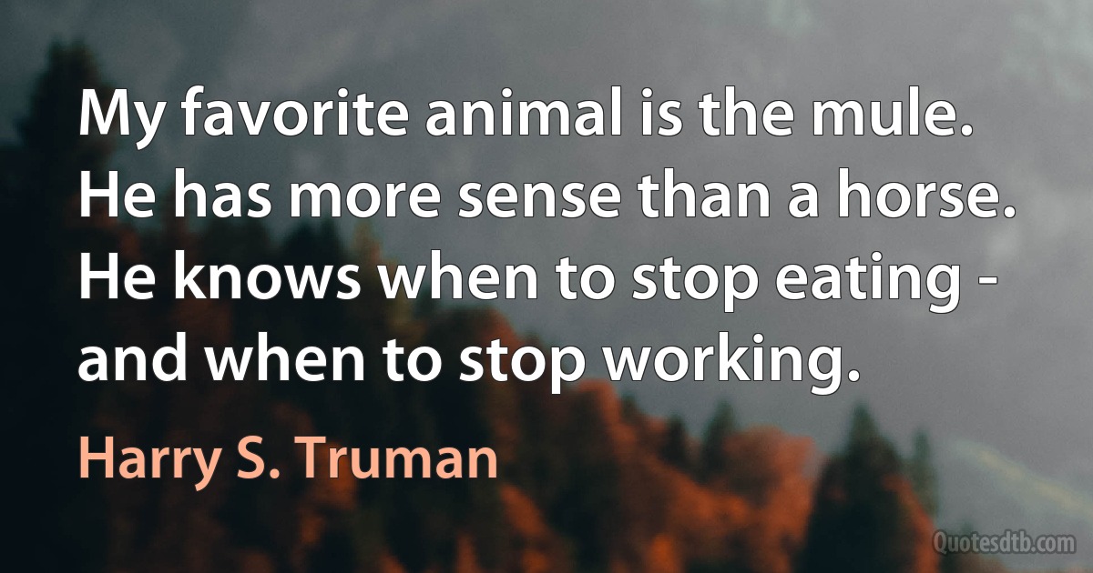 My favorite animal is the mule. He has more sense than a horse. He knows when to stop eating - and when to stop working. (Harry S. Truman)