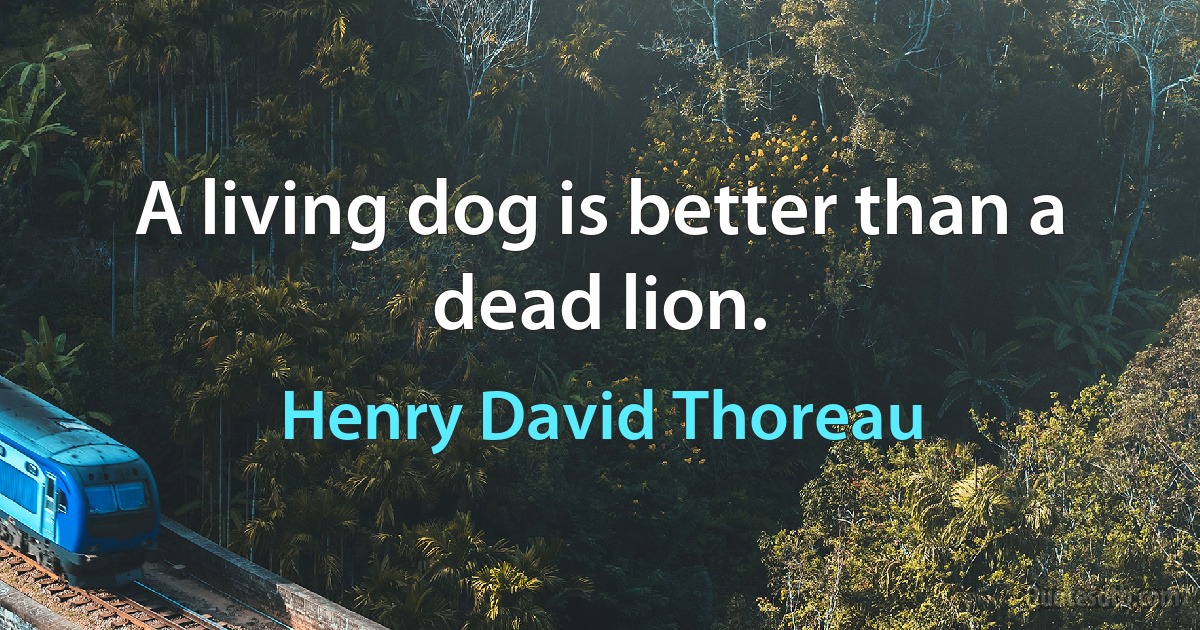 A living dog is better than a dead lion. (Henry David Thoreau)