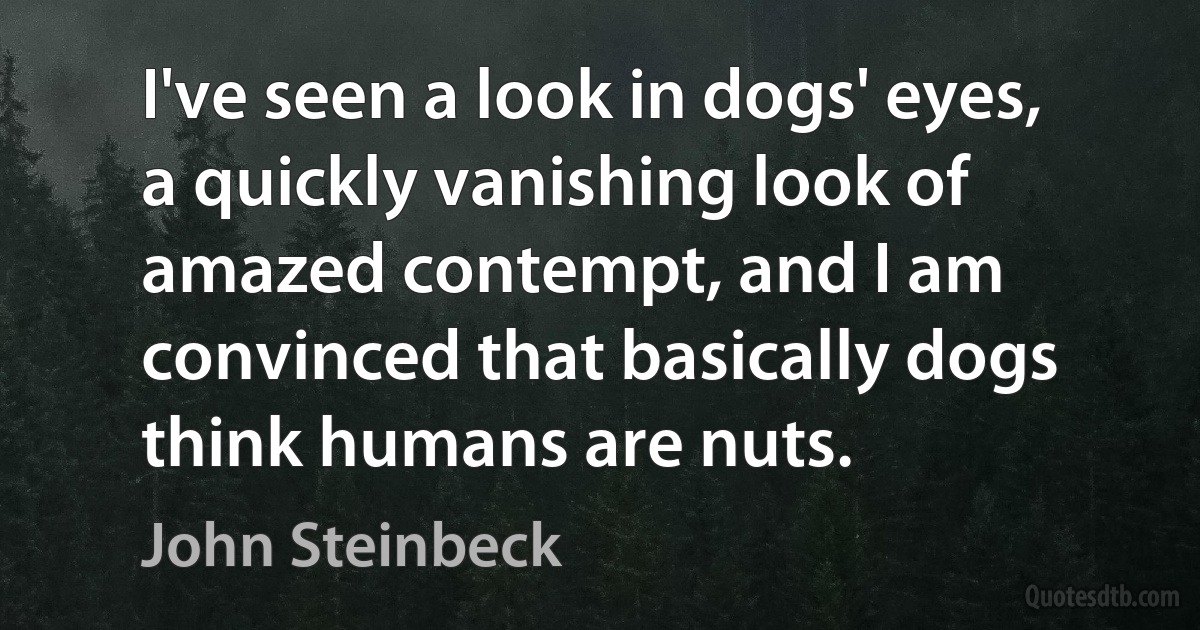 I've seen a look in dogs' eyes, a quickly vanishing look of amazed contempt, and I am convinced that basically dogs think humans are nuts. (John Steinbeck)