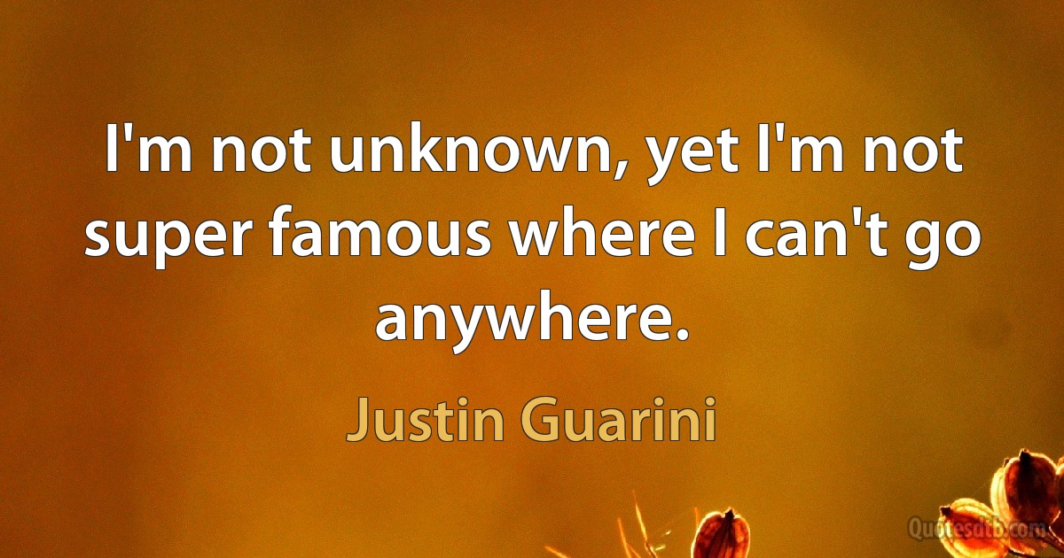 I'm not unknown, yet I'm not super famous where I can't go anywhere. (Justin Guarini)