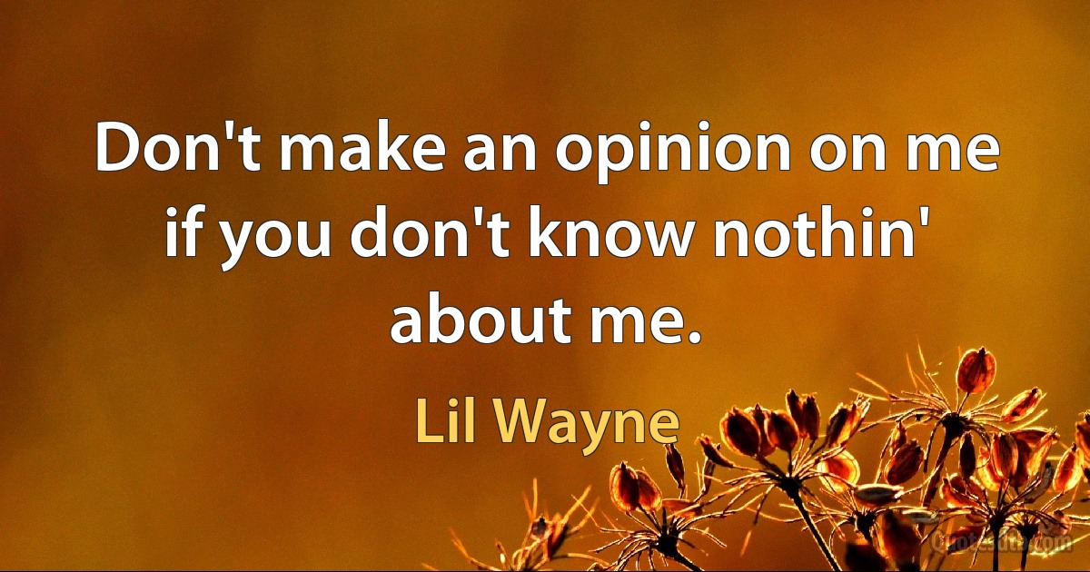 Don't make an opinion on me if you don't know nothin' about me. (Lil Wayne)