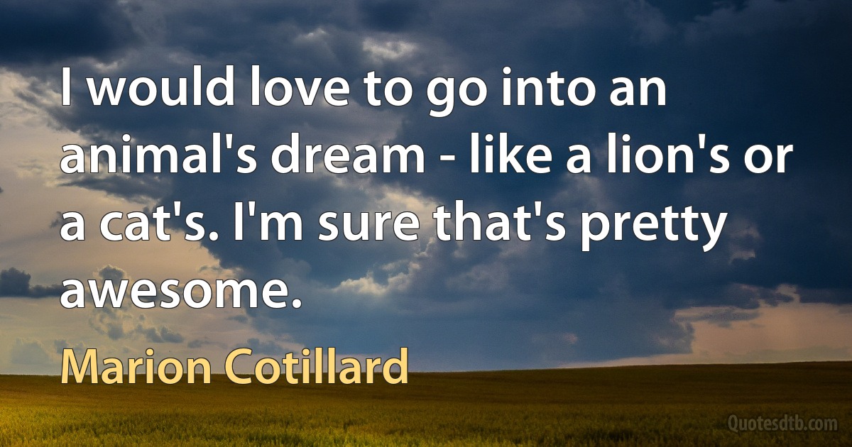 I would love to go into an animal's dream - like a lion's or a cat's. I'm sure that's pretty awesome. (Marion Cotillard)