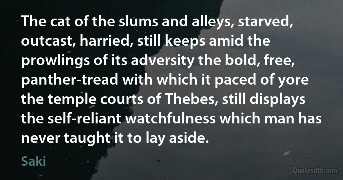 The cat of the slums and alleys, starved, outcast, harried, still keeps amid the prowlings of its adversity the bold, free, panther-tread with which it paced of yore the temple courts of Thebes, still displays the self-reliant watchfulness which man has never taught it to lay aside. (Saki)