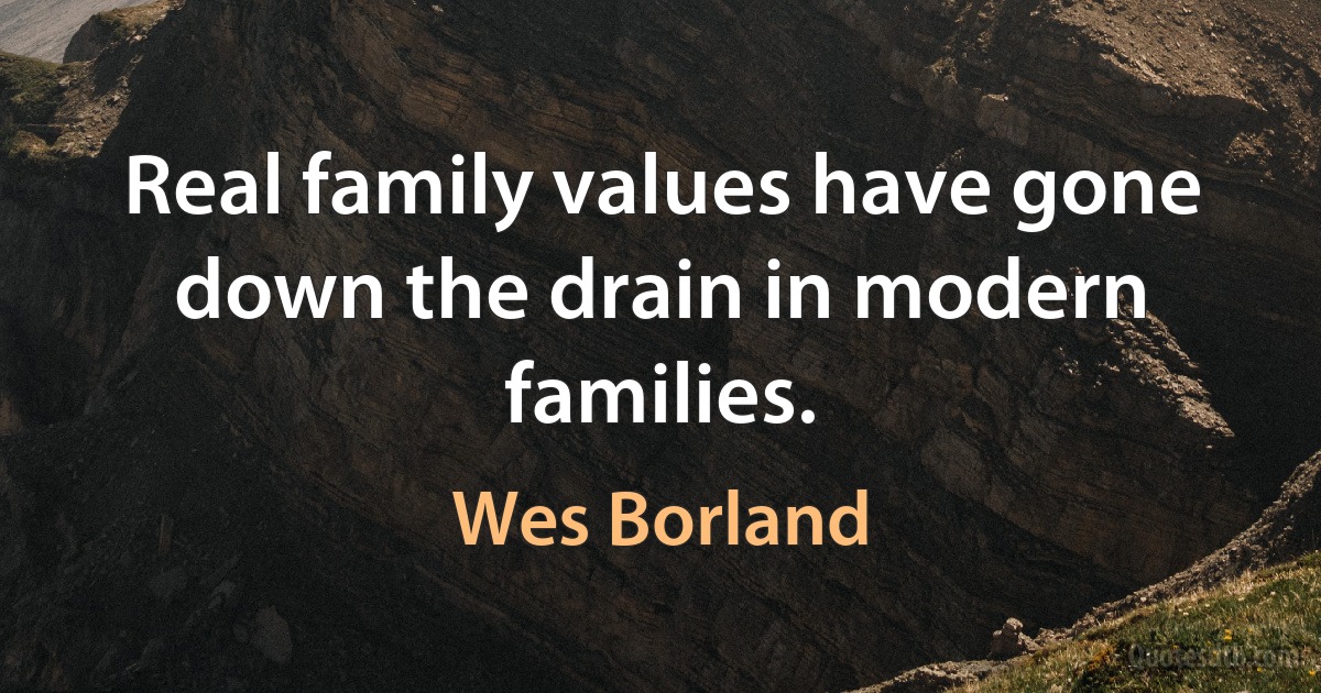 Real family values have gone down the drain in modern families. (Wes Borland)