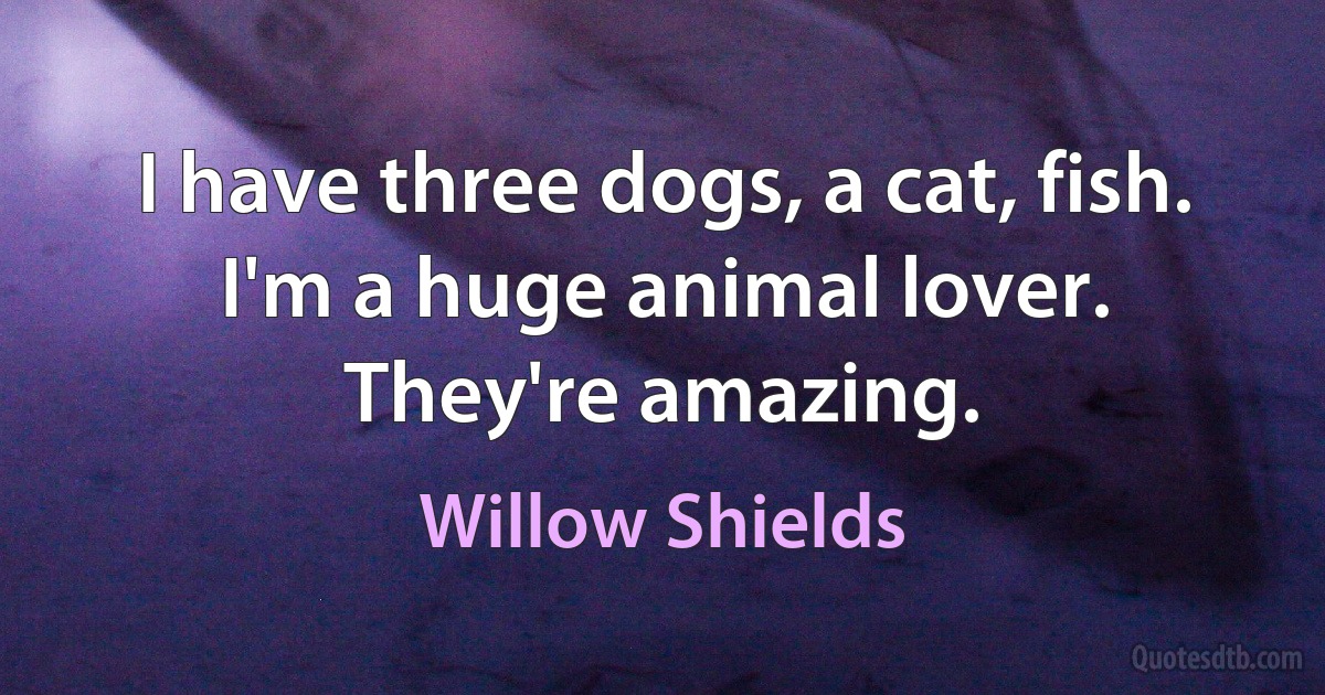 I have three dogs, a cat, fish. I'm a huge animal lover. They're amazing. (Willow Shields)