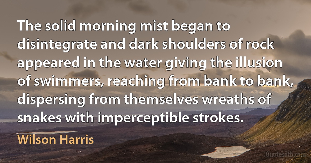 The solid morning mist began to disintegrate and dark shoulders of rock appeared in the water giving the illusion of swimmers, reaching from bank to bank, dispersing from themselves wreaths of snakes with imperceptible strokes. (Wilson Harris)