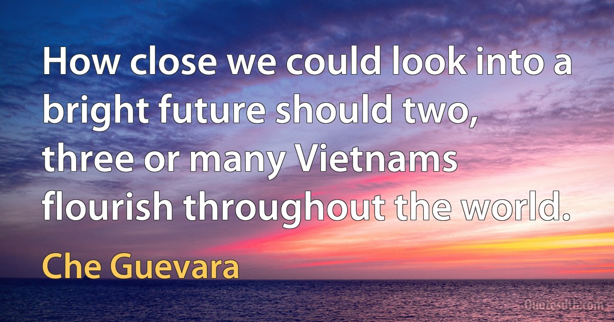 How close we could look into a bright future should two, three or many Vietnams flourish throughout the world. (Che Guevara)