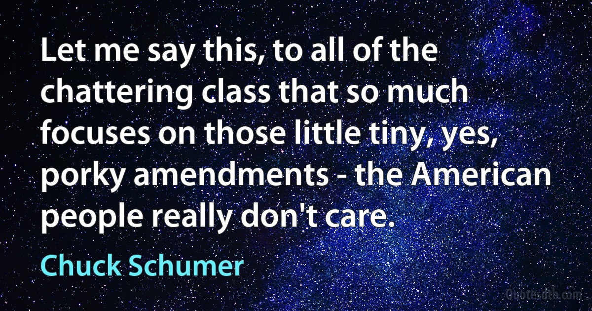 Let me say this, to all of the chattering class that so much focuses on those little tiny, yes, porky amendments - the American people really don't care. (Chuck Schumer)