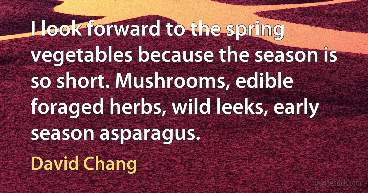 I look forward to the spring vegetables because the season is so short. Mushrooms, edible foraged herbs, wild leeks, early season asparagus. (David Chang)