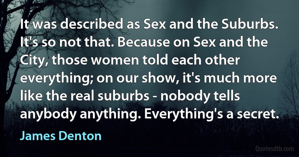 It was described as Sex and the Suburbs. It's so not that. Because on Sex and the City, those women told each other everything; on our show, it's much more like the real suburbs - nobody tells anybody anything. Everything's a secret. (James Denton)