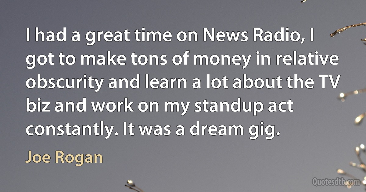 I had a great time on News Radio, I got to make tons of money in relative obscurity and learn a lot about the TV biz and work on my standup act constantly. It was a dream gig. (Joe Rogan)